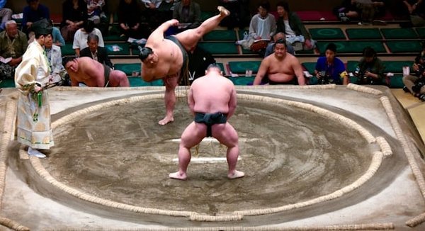 Quels exercices de renforcement musculaire sont spécifiques pour les pratiquants de Sumo pour augmenter leur robustesse?